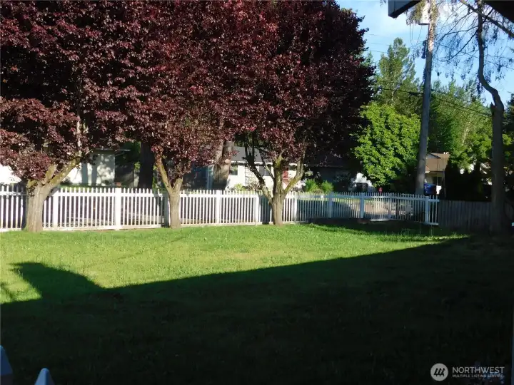 View of the large yard