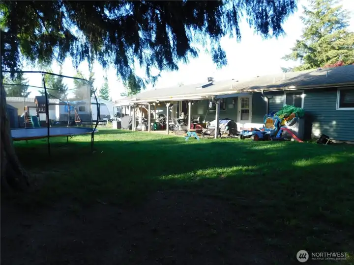 Another view of the back yard