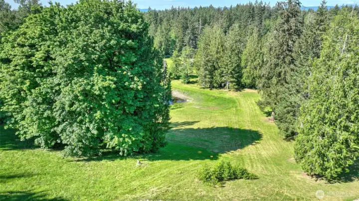 Bring your imagination to this nearly 10 acre property!
