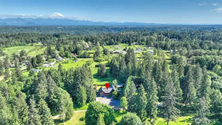 Stunning Mt. Rainier views!