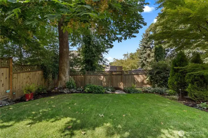 View of back fence from deck.
