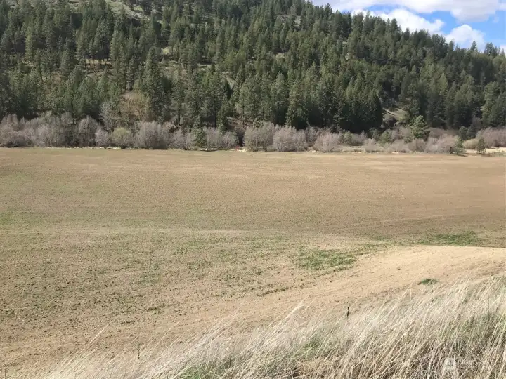 Approximately 35 acres of tilled hay ground. Access off of Hawk Creek Road just past the Bridge. Hawk Creek in the background great place to watch the animals jump across creek to come in a graze.