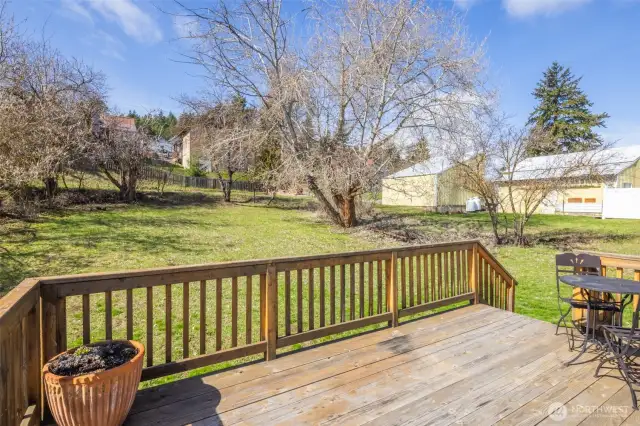 Lots of room for a garden, play space, and/or garage.