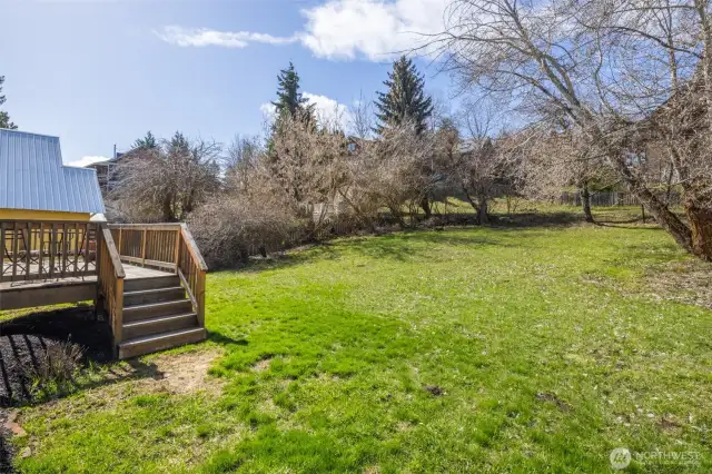 Lots of room for a garage, ADU, or maybe you want both!