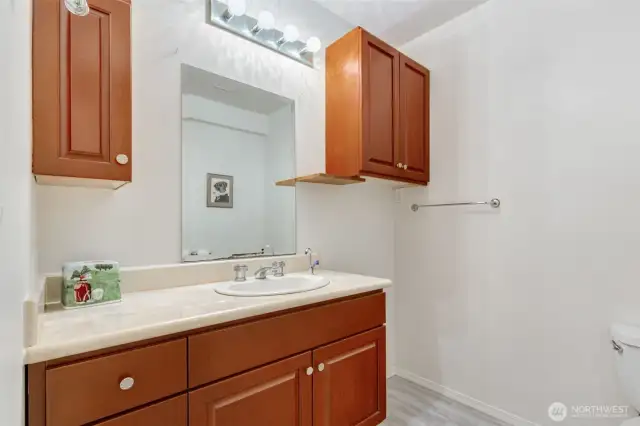 Lower level 3/4 bath
