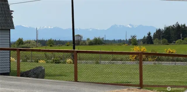 View of Olympic mountains from driveway