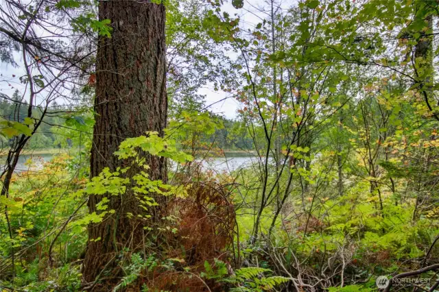 View of the lake from the middle of the vacant lot.