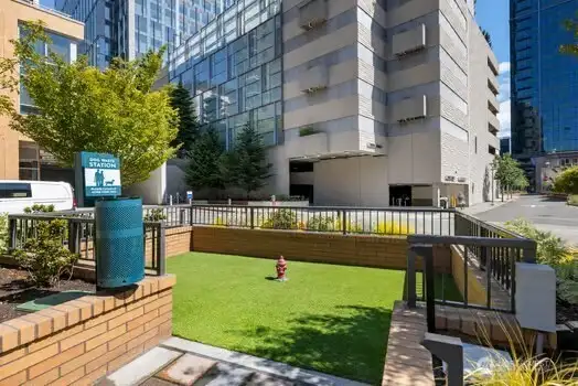 The Dog Park located in the circle just outside of Tower #2