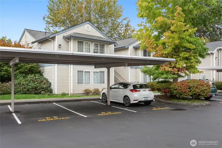 Private Parking space #59