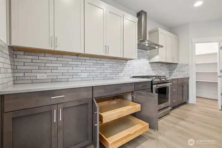 Soft close cabinets with pull out shelves, large walk-in pantry.