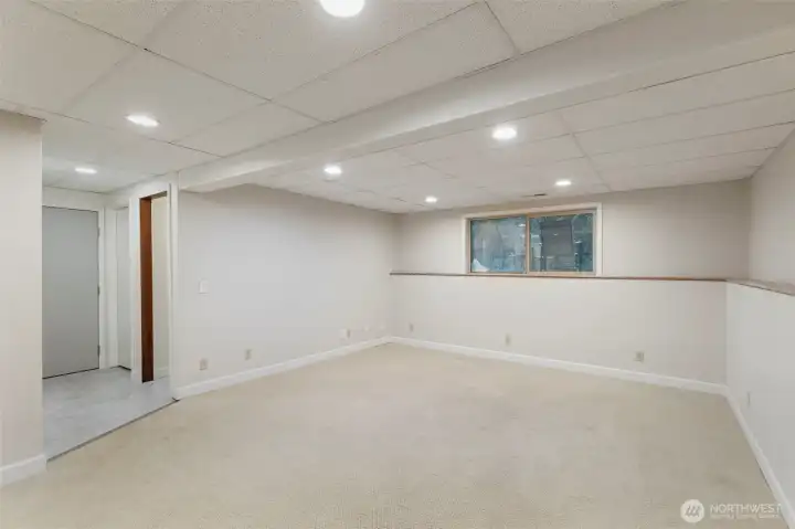Bonus room on lower level