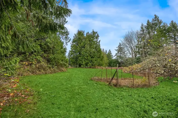 Where grass grows now, rows of vegetables and fruit gardens once soaked in the sunshine.