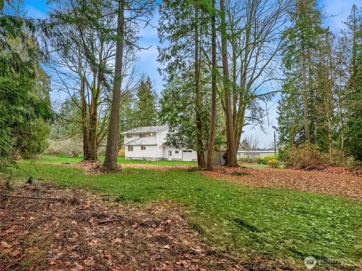 This green pathway leads you to a metal outbuilding in the distance.