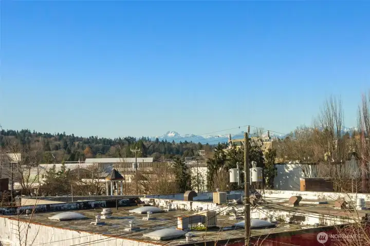 South-facing windows flood the home with natural light and capture beautiful canal and Olympic Mountain views from every room.