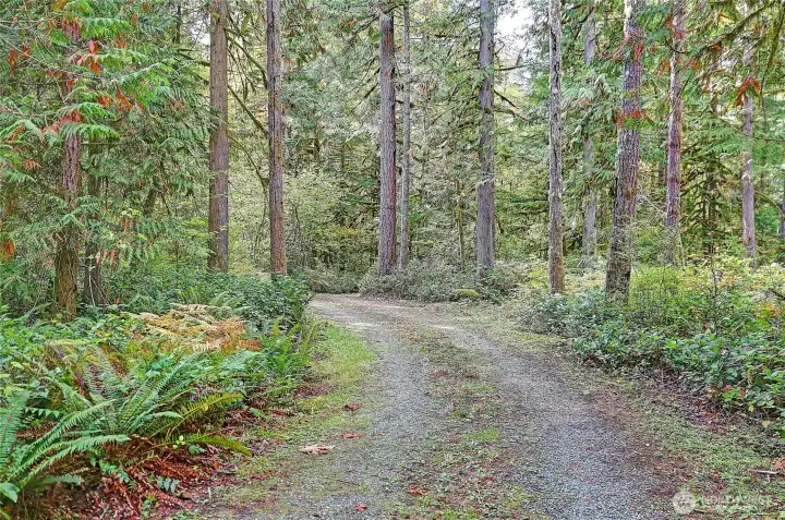 Private circular driveway leads to this fantastical property!
