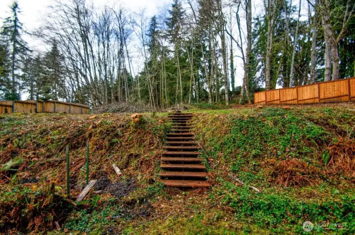 Steps from the patio that access the back area of the property. So much potential!