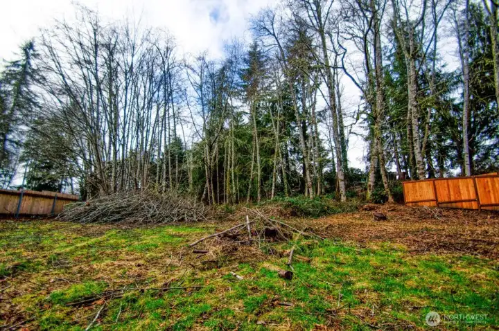 The back yard is a blank canvas for your imagination