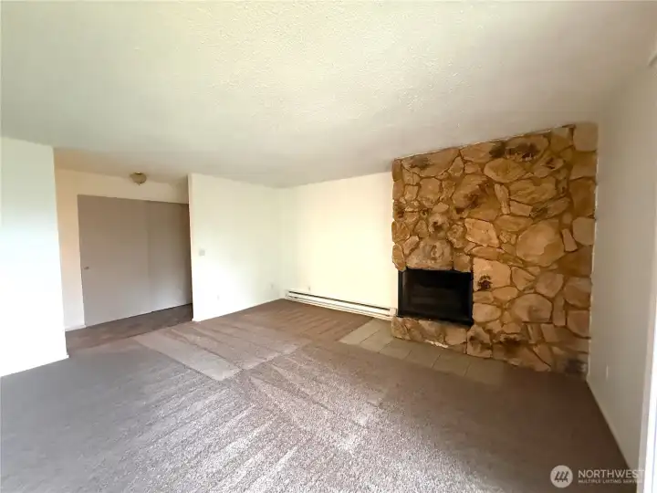 spacous living romm with fireplace