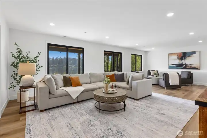 Lower level living area