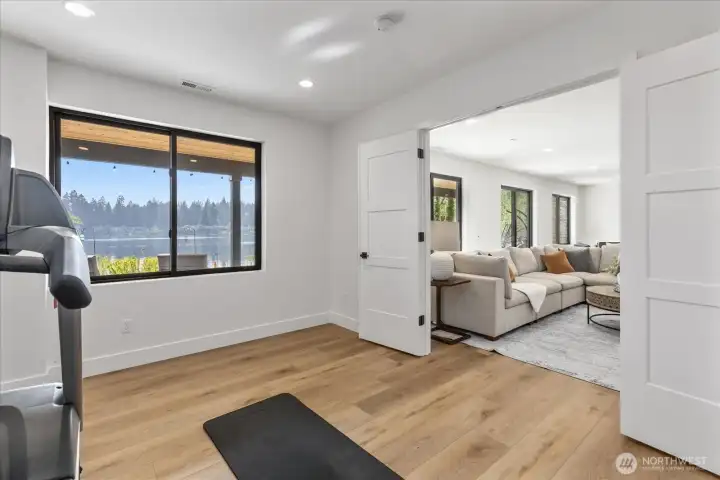 Lower level office or workout room