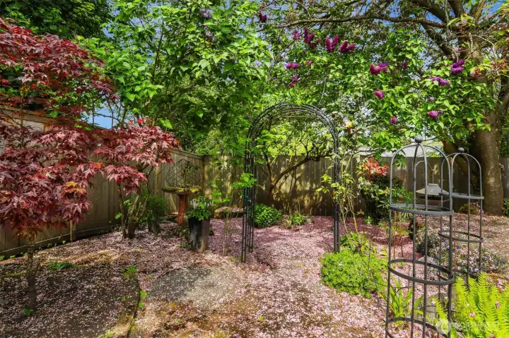 Gardening space.