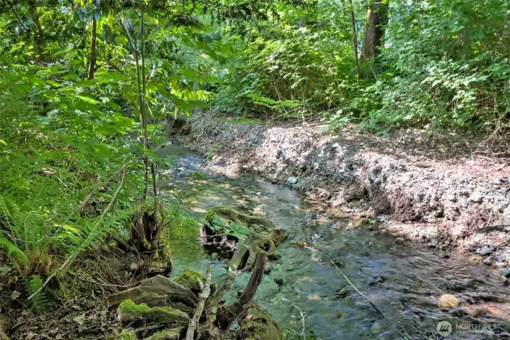 Caldervin Creek runs along the back boarder of this property.