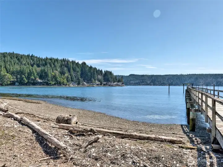 Community beach and dock.