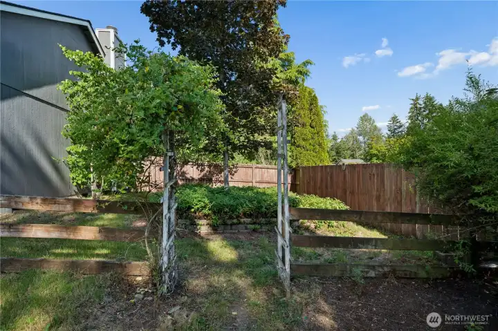 Plenty of room to create your dream outdoor oasis.