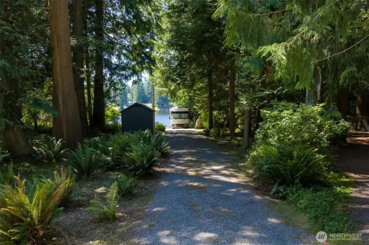 Inviting entry, long driveway with evergreen trees and ferns for natural beauty! Quality Plastic Storage Shed stays with the property.