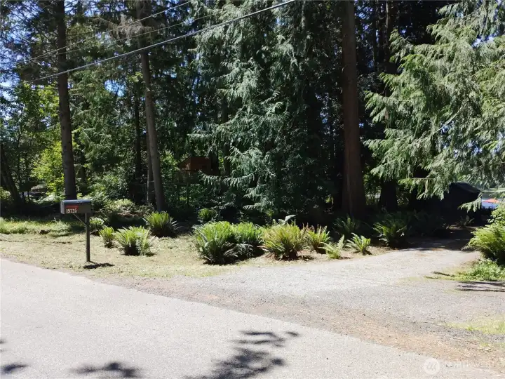 Driveway to lot. On East side of Lake Margaret.