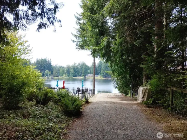Northside of property is fenced (right side of picture)