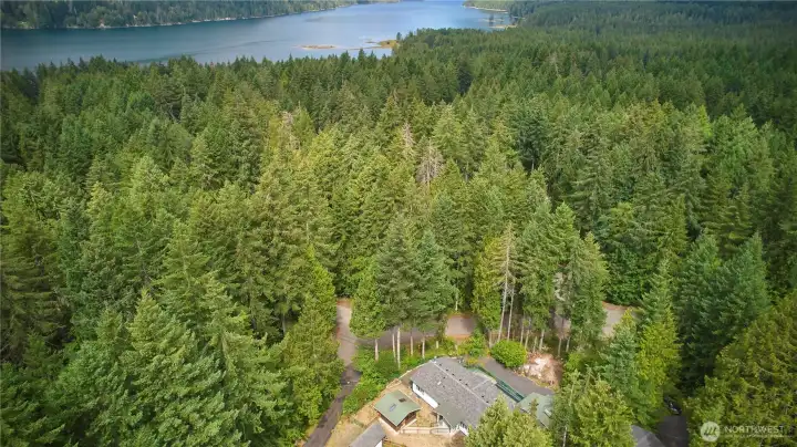 A stunning, high-altitude aerial view showcasing the home's incredible location—tucked away in a private forest sanctuary just moments from the sparkling blue waters of Lake Cushman.
