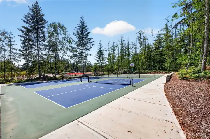 Courts conveniently located. Courts conveniently located.