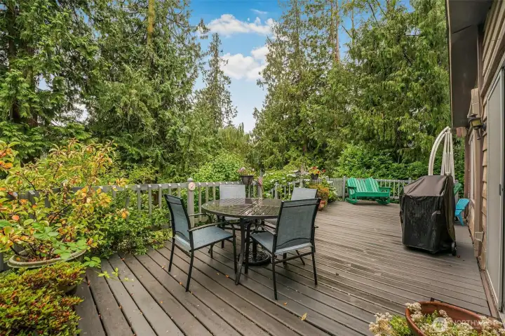 Large low maintenance deck for entertaining! Large low maintenance deck for entertaining!