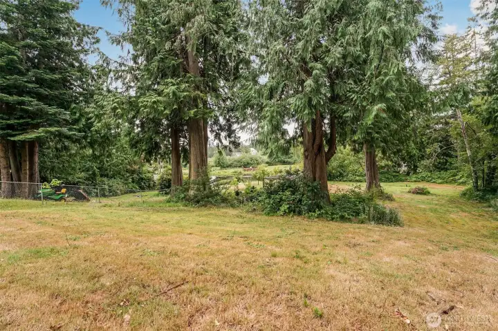 Beautiful grounds! Large yard offers a peaceful setting! Beautiful grounds! Large yard offers a peaceful setting!