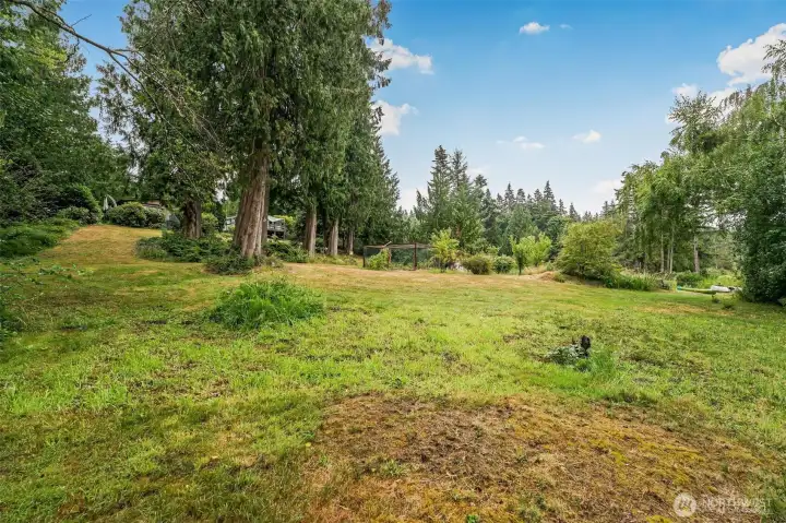 Plenty of sunny space for gardening! Plenty of sunny space for gardening!