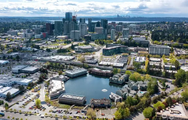 So close to downtown Bellevue and you can even see Seattle in the distance!