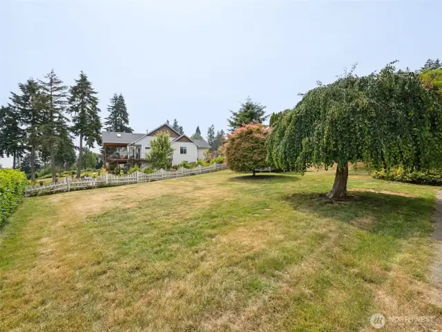 Gorgeous large lot!