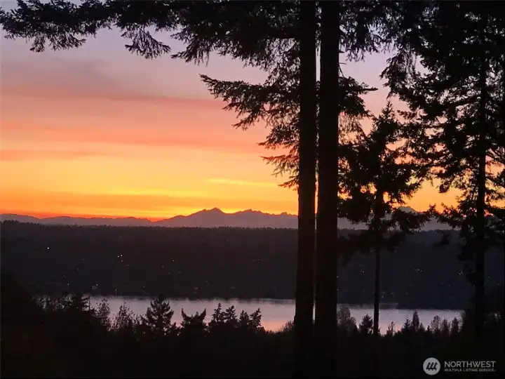 Gorgeous views of Lake Washington & the Olympic Mountains
