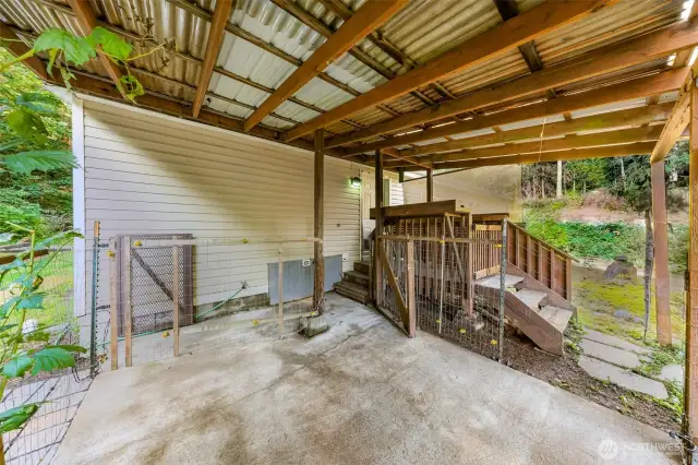 Shaded fenced area for animals off the back porch