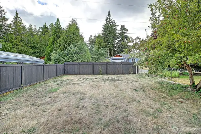 Front yard, with fruit trees, mature trees, level lot, so much potential!