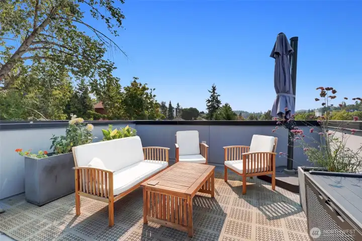 The sunny roof deck is great for container gardening and entertaining friends.