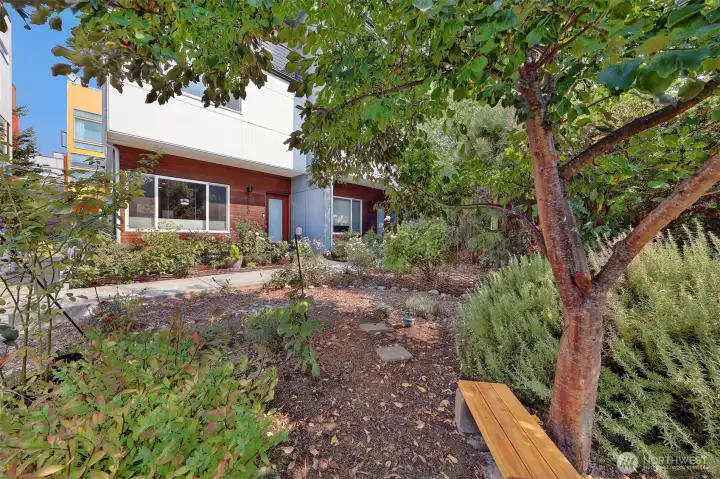 The adjacent green belt has been expertly configured and maintained - such a pleasant space!