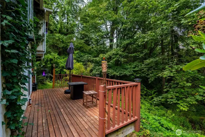 One of two decks off of home.