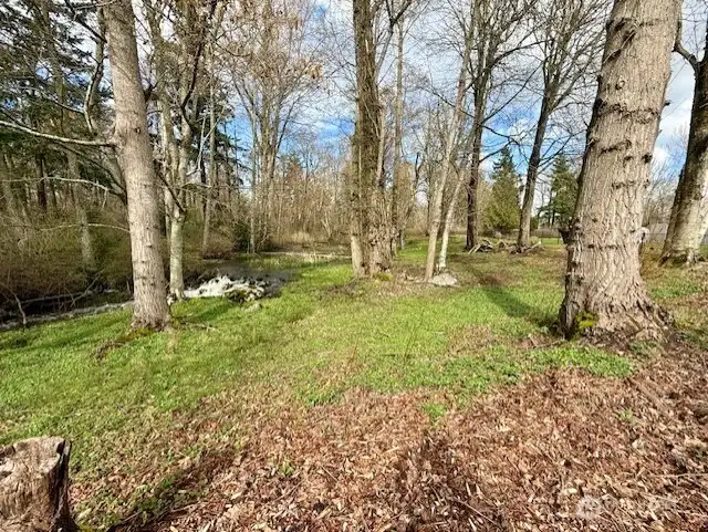 The creek is so peaceful on the northwest side of the property.