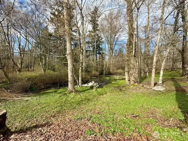 Another view of the creek and acreage just outside the chain link fencing.