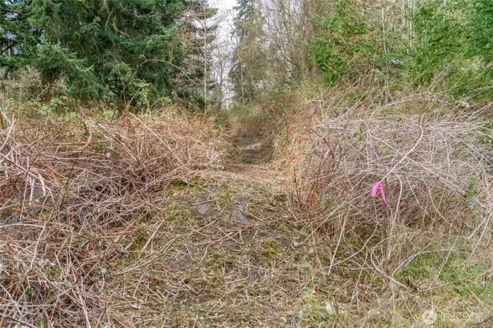 The access easement trail.  The easement is 30 feet wide.