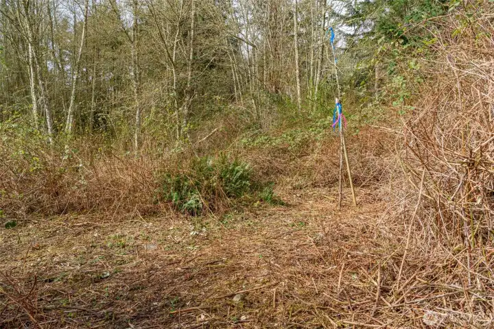This marks the northeast corner of the property. The easement trail brings you here.