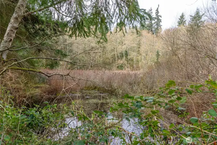 Enjoy your own pond!