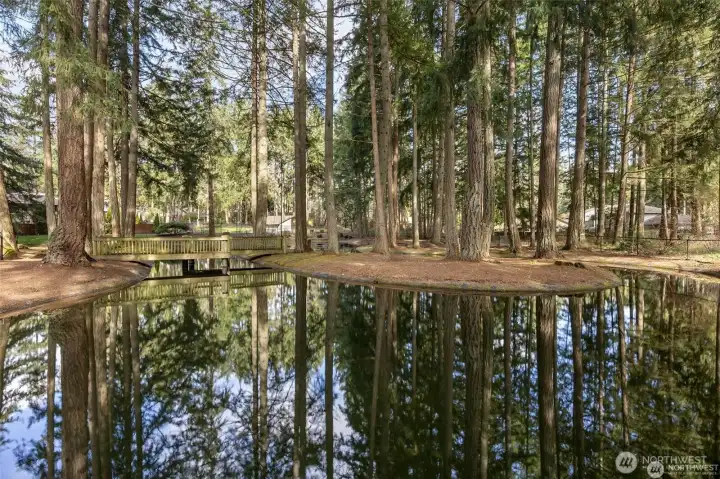Woodlake pond and water feature
